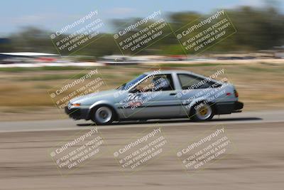 media/Oct-04-2025-OnGrid (Sat) [[44bd565ffa]]/Purple Group/Grapevine/